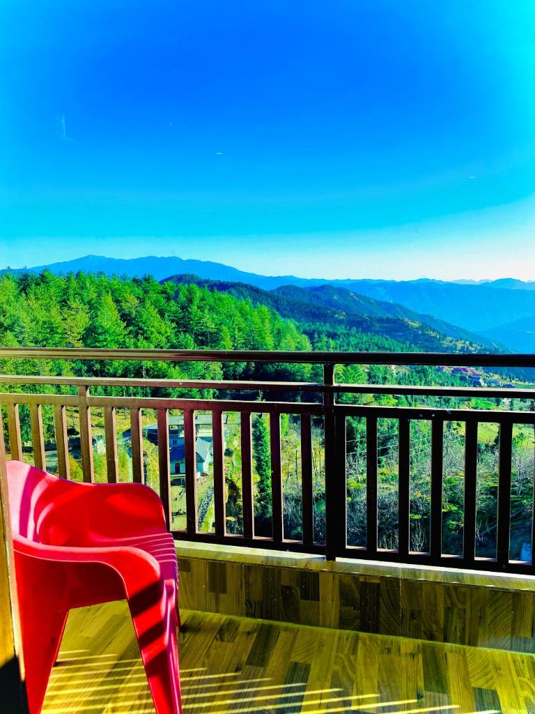 Radiant Regency Resort - on Chail-Kufri bypass road