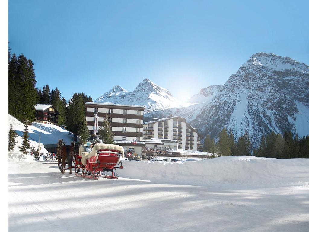 ROBINSON AROSA - Adults only